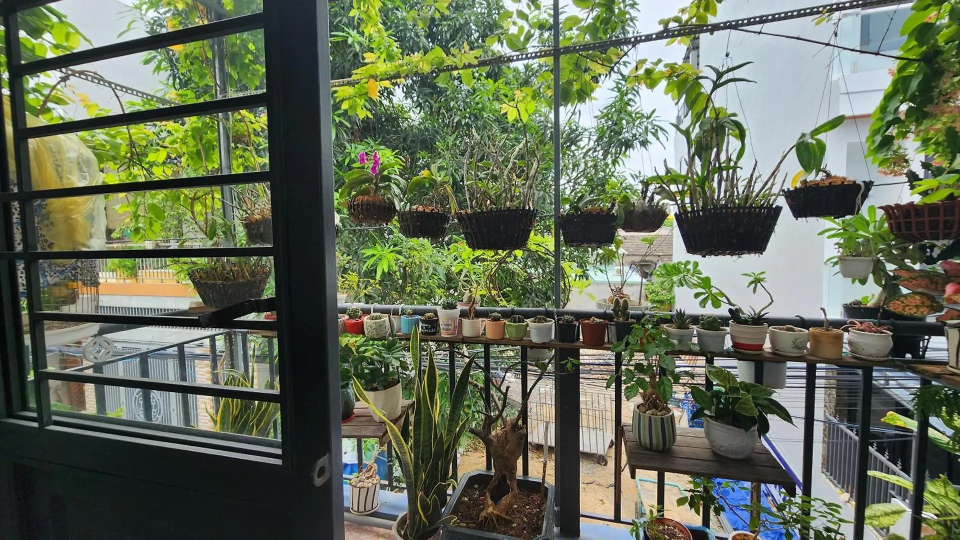 Sena Homestay By Dragon Bridge-Danang Han River Vietnam